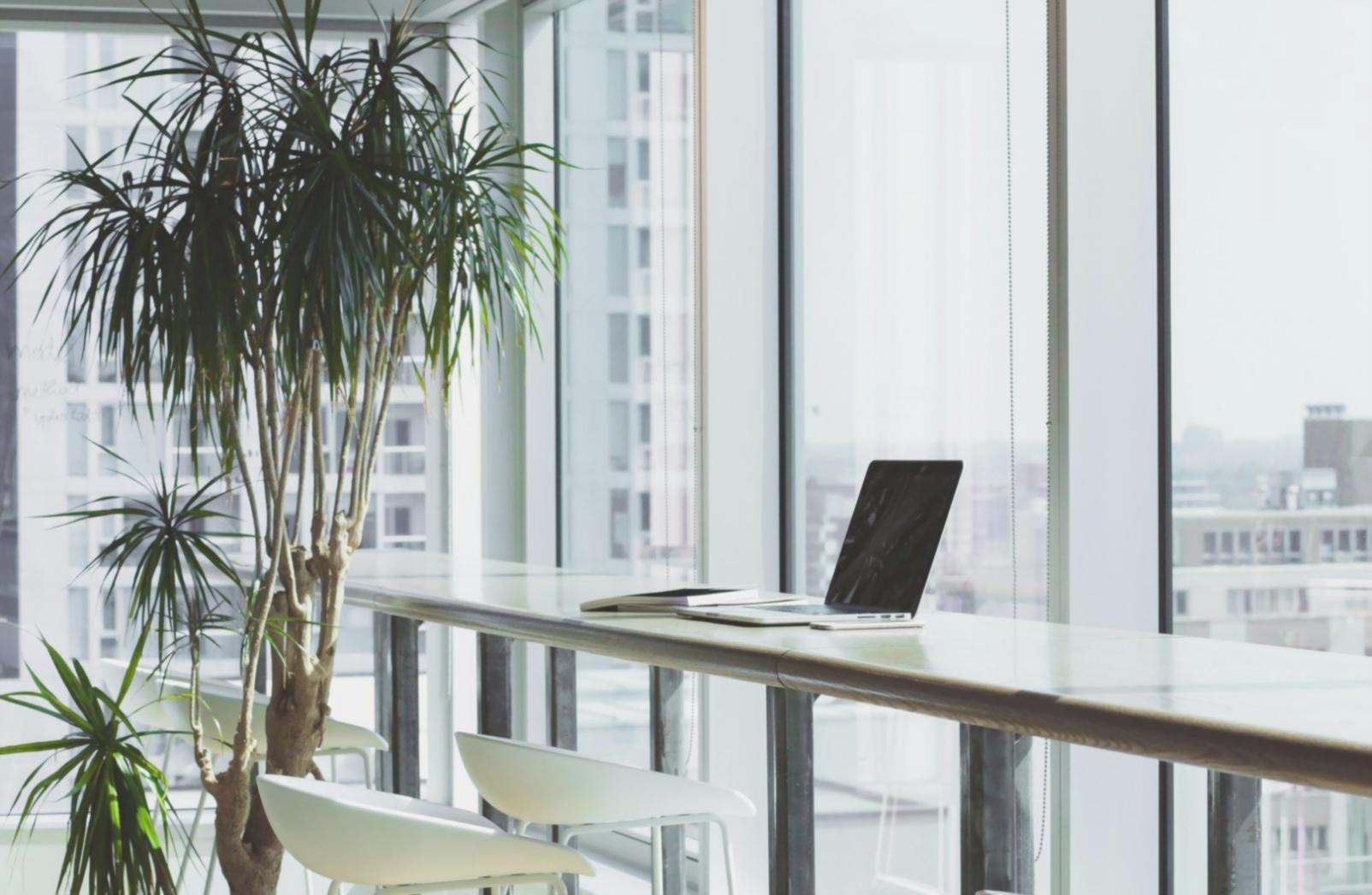 Accompagnement personnalisé en gestion financière